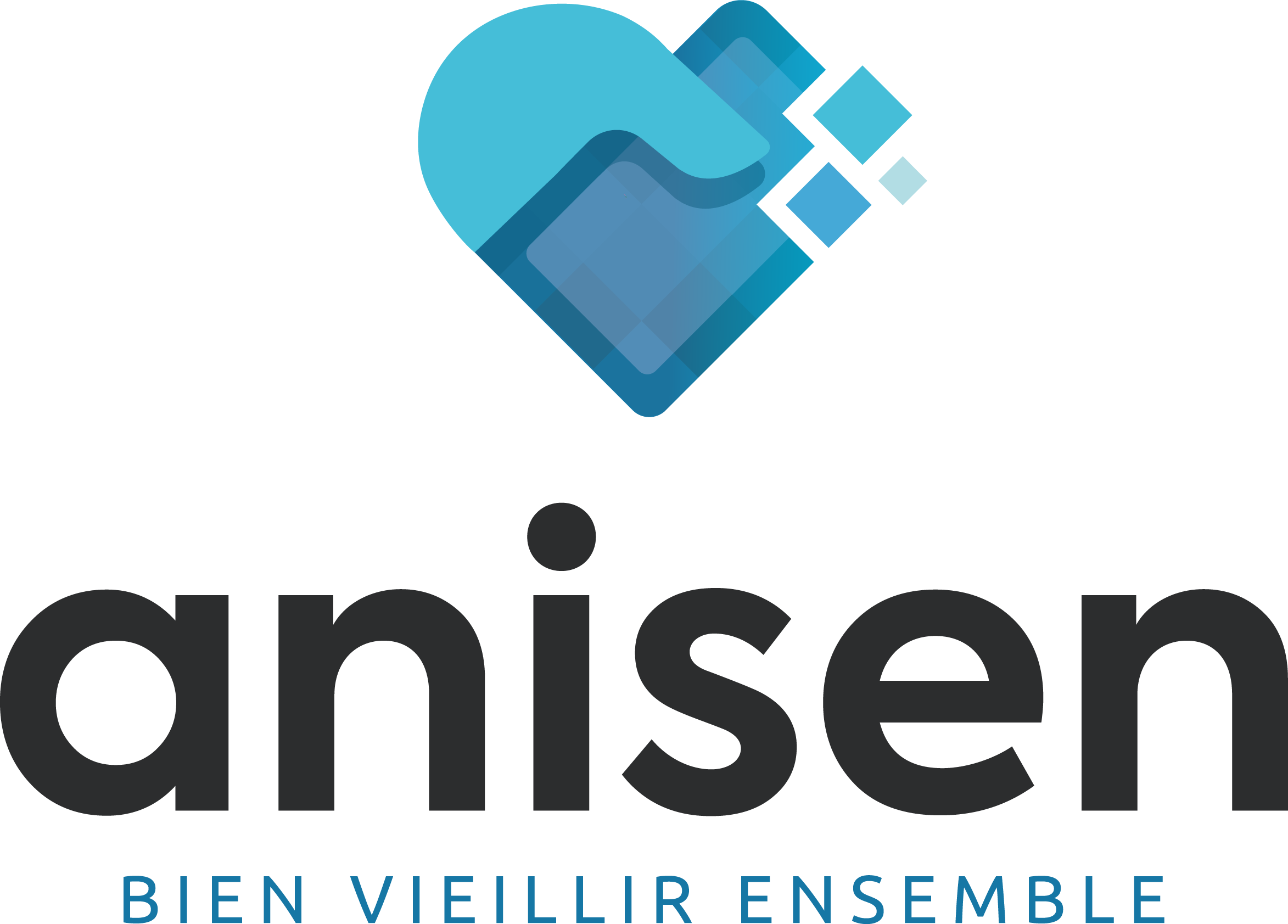 ANISEN - logo